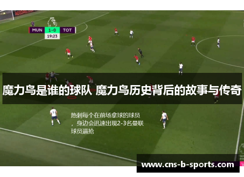 魔力鸟是谁的球队 魔力鸟历史背后的故事与传奇