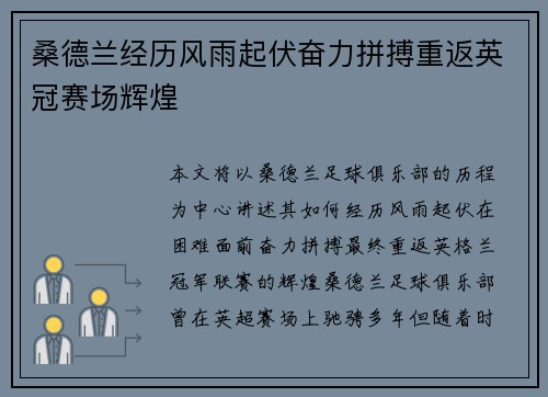 桑德兰经历风雨起伏奋力拼搏重返英冠赛场辉煌 桑德兰经历风雨起伏奋力拼搏重返英冠赛场辉煌